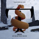 Artwork for "My Heart Went Boom"