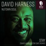 Artwork für "Stay (David Harness Remix)"