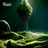 Giant Lichen Orb Weaver