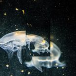 Artwork for "My Dream (Let Me Hold Your Hand)"