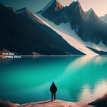 Portada para "Lonely Soul"