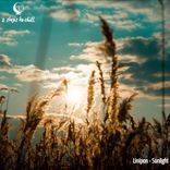 Artwork voor "Sunlight"