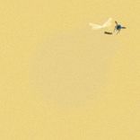 Artwork voor "Fly On The Wall"