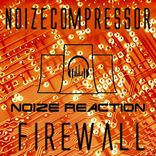 Artwork for "Firewall"