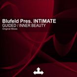 Artwork for "Guided / Inner Beauty"