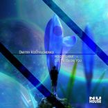 Artwork for "Ho'oleilana / Let Me Show You"