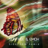 Artwork voor "Catching the Moment"