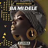 Artwork for "Ba Mi Dele"