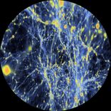 Artwork for "Cosmic Delight EP"