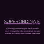 Artwork voor "Summer in Dub, Vol. 5"