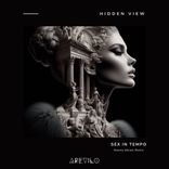 Artwork for "Sex In Tempo (Stanny Abram Remix)"