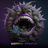 Artwork for "Andina Purple"