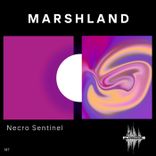 Artwork for "Marshland"