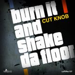 Artwork for "Burn It and Shake da Floor"