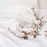 Artwork for "Celestial White Noise"