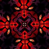 Portada para "Mini-maul"