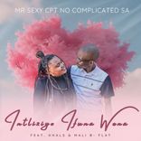 Artwork for "Intliziyo Ifuna Wena"