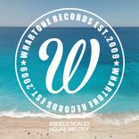 Artwork voor "House Melody"