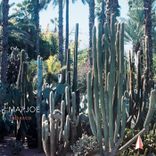 Artwork for "Tabasco"