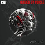 Artwork für "Guided by Voices"