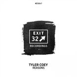 Artwork for "Reasons"