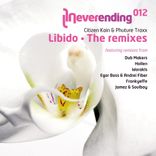 Artwork for "Libido - The Remixes"