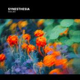 Artwork for "Synesthesia"
