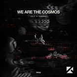 Artwork for "We Are the Cosmos"