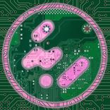 twenty thousand hurts