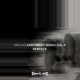 Artwork for "Sentiment Series Vol.9 - Remixed"