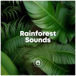 Artwork voor "Rainforest Sounds"
