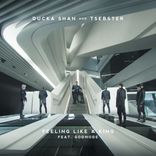 Artwork für "Feeling Like a King"