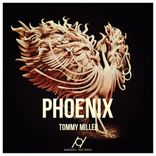Artwork für "Phoenix"