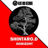 Artwork for "Horizont"