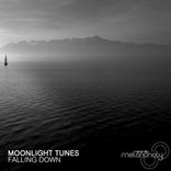 Portada para "Falling Down"