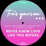 Portada para "Never Knew Love Like This Before (Trois Garcon Mix)"