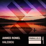 Artwork for "Halebidu"