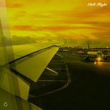 Portada para "Chill Flight"