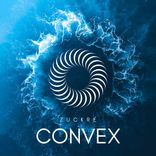 Portada para "Convex"