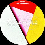 Portada para "Tool From Da Hood"