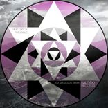 Artwork for "The Eagle (Kim Janeksen Remix)"