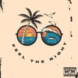 Artwork for "Feel The Night"