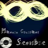 Artwork for "Sensible"
