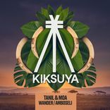 Artwork for "Wander / Amboseli"