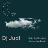 Artwork voor "Under The Moonlight (Deepmotion Remix)"