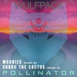 Artwork for "Pollinator"