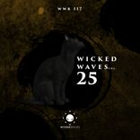 Artwork for "Wicked Waves, Vol. 25"