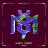 Artwork for "Shaken / Hodor"