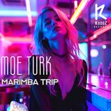 Artwork for "Marimba Trip"