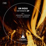 Artwork voor "Detonate"